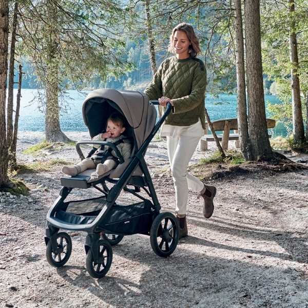 ruedas grandes carrito inglesina aptica xt todoterreno